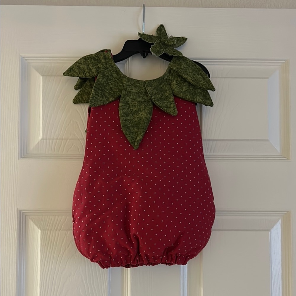 Kids Strawberry Costume - Red and Green